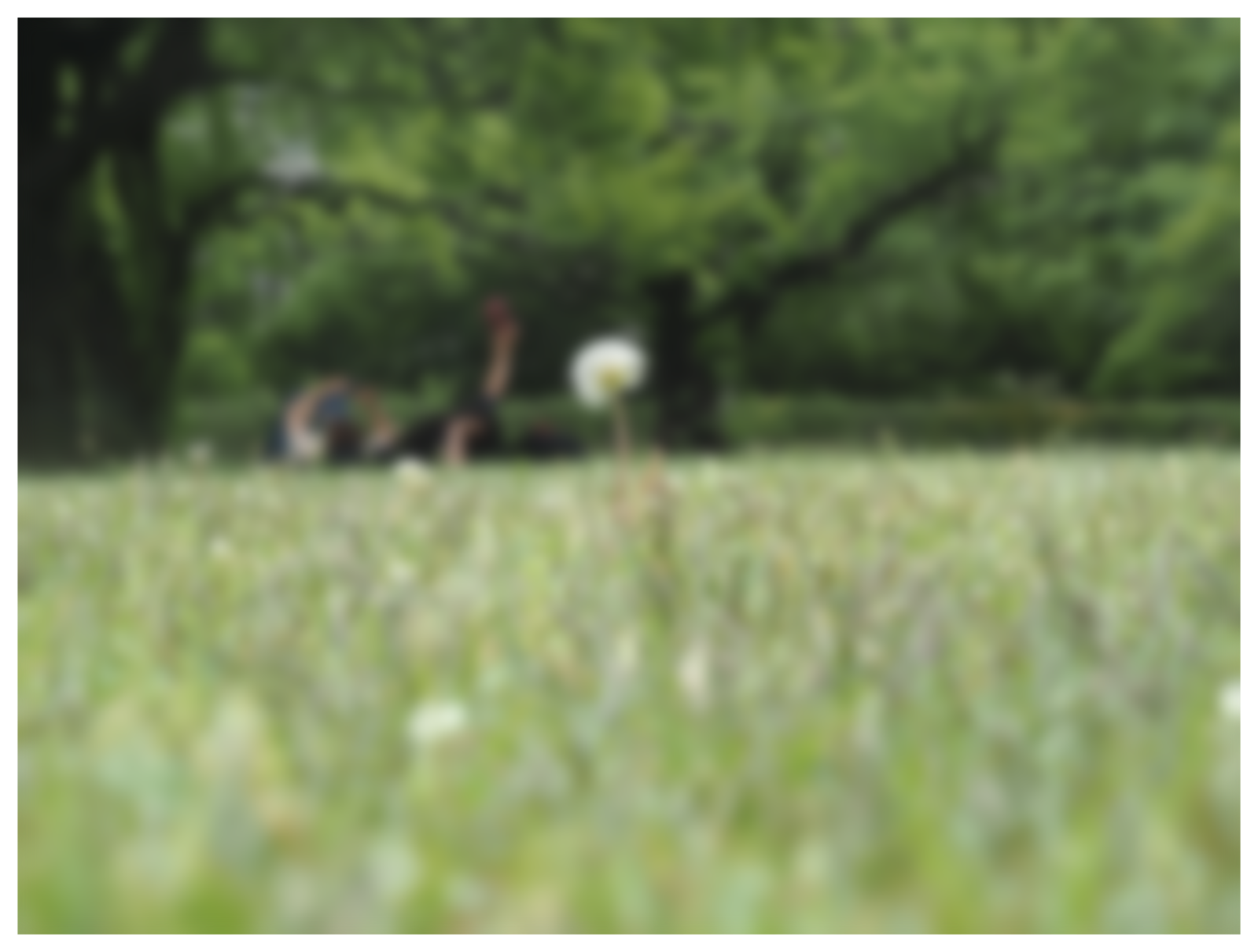Cover Photo 1 (ICU garden)